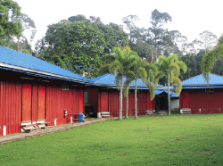 The Red Cabanon Cabin